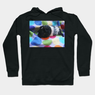 fof pig Hoodie